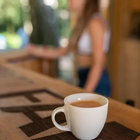 Sruby V Arealu Kempy Na Seci * Seč